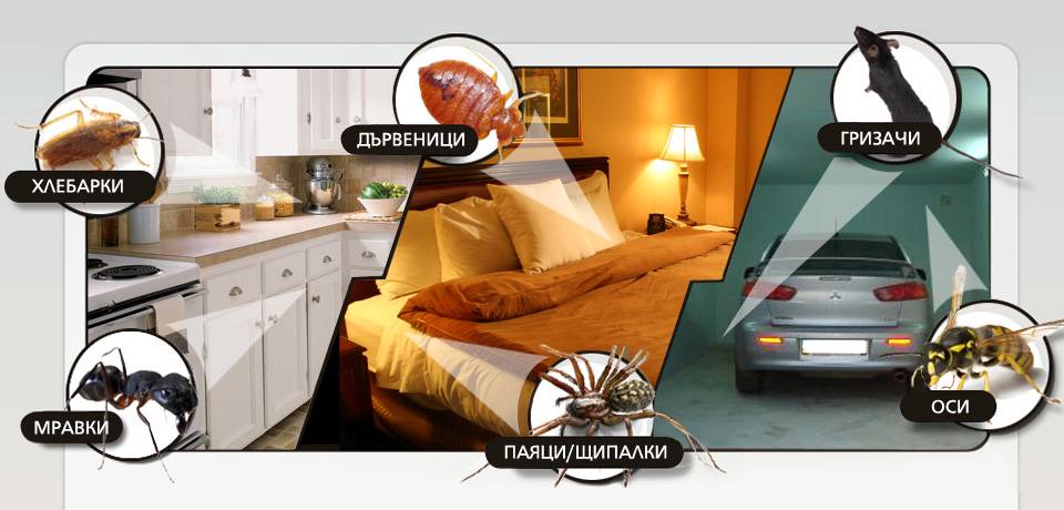 {|bg|}Борба с вредители Видин{|/bg|}