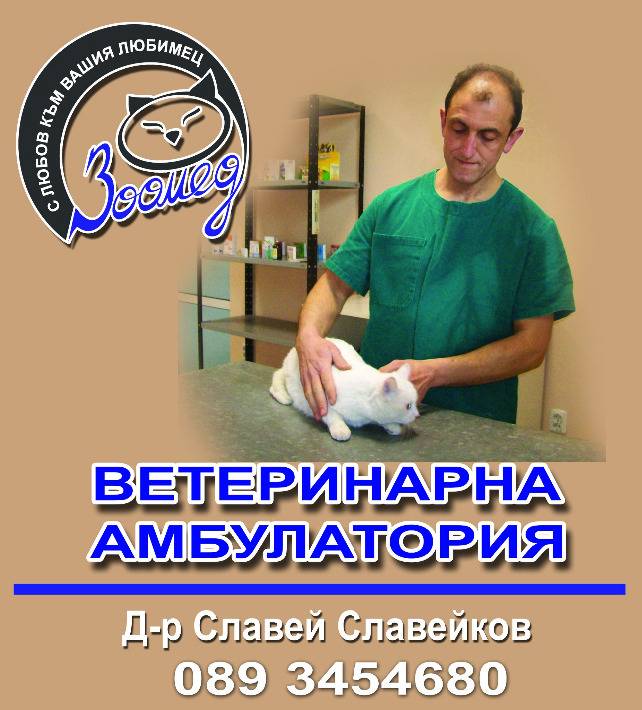 {|bg|}Ветеринарна амбулатория Зоомед – Перник{|/bg|}