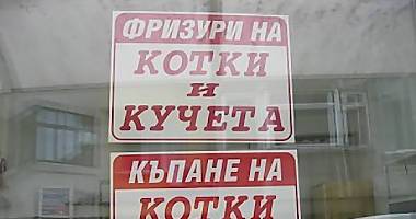 Фризьорски салон за домашни любимци Бургас