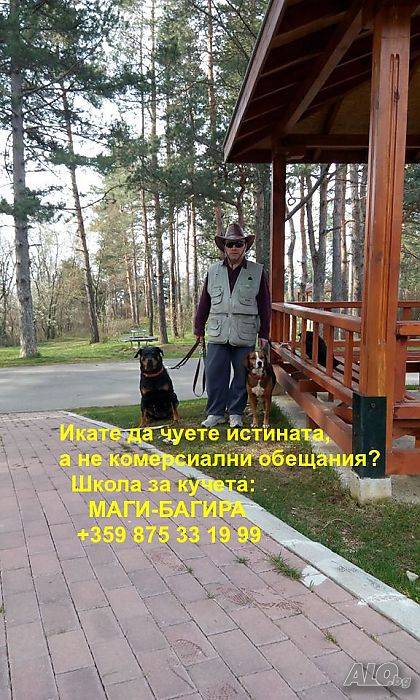 Обучение и Хотел за кучета в домашна среда, Бургас