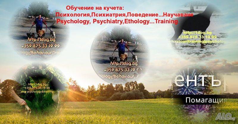 Обучение и Хотел за кучета в домашна среда, Бургас