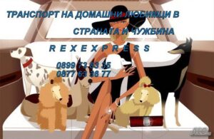 Транспорт на домашни любимци Варна