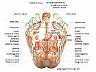 Рехабилитация по домовете Банкя