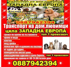 Транспорт на домашни любимци от и за цяла Западна