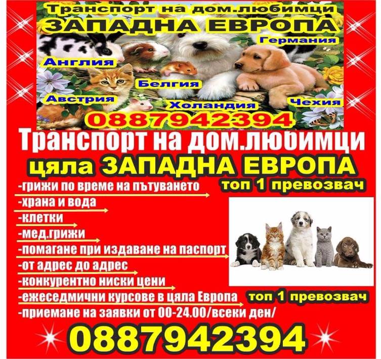 Транспорт на домашни любимци от и за цяла Западна