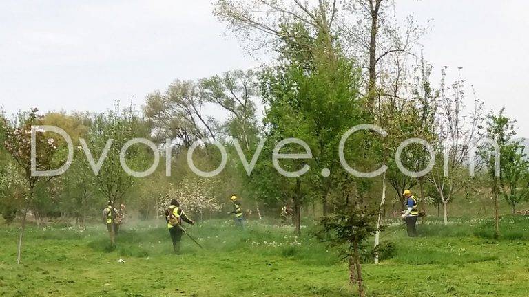 Почистване на дворове в София