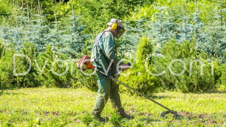 Почистване на дворове в София