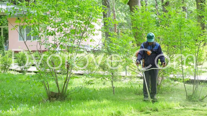 Почистване на дворове в София